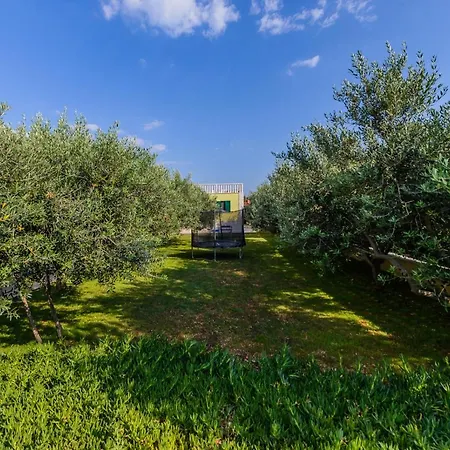 Apartament Beachfront Mihovil - With Private Pool Kaštel Štafilić